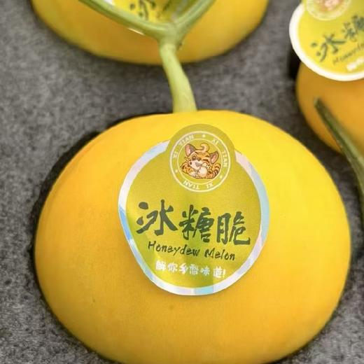 冰糖脆甜瓜（一个约260克） 商品图0