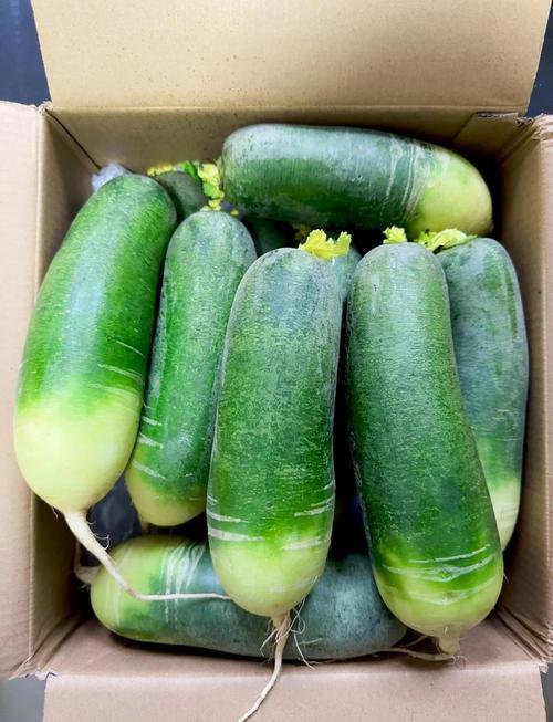 【SF】新鲜青萝卜  清脆爽口 甘甜多汁 商品图0