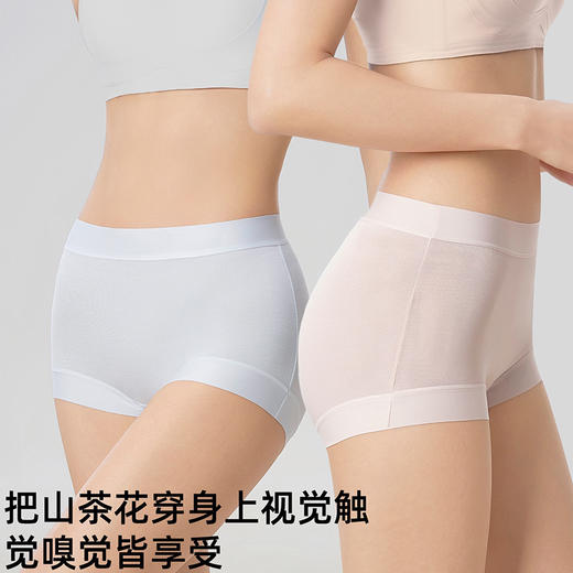 【49元3条，请拍三条，单拍不发】天然50S山茶花油无痕女士内裤-613 商品图1