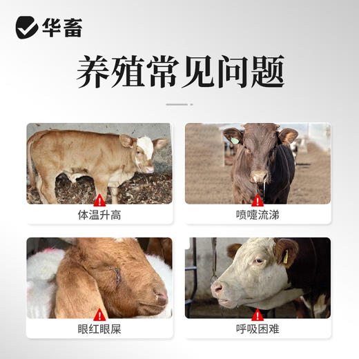 华畜 双黄莲颗粒 清热降火感冒发热咳嗽气喘 商品图4