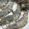 【顺丰冷链】顶级黑虎虾 16/20头 活虾极速锁鲜速冻 肉质紧实饱满 口感劲道 富含虾青素 - AYLJ 商品缩略图2