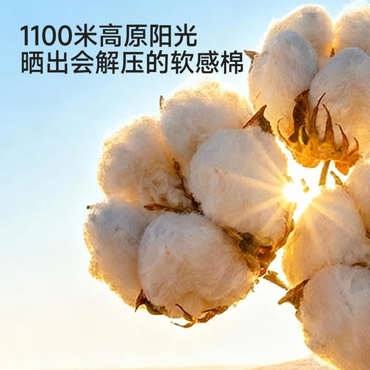 【透气防蚊】英氏儿童长裤男童女童休闲裤舒适透气防蚊束脚裤 商品图1