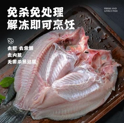 【YC】三去罗非鱼 商品图0