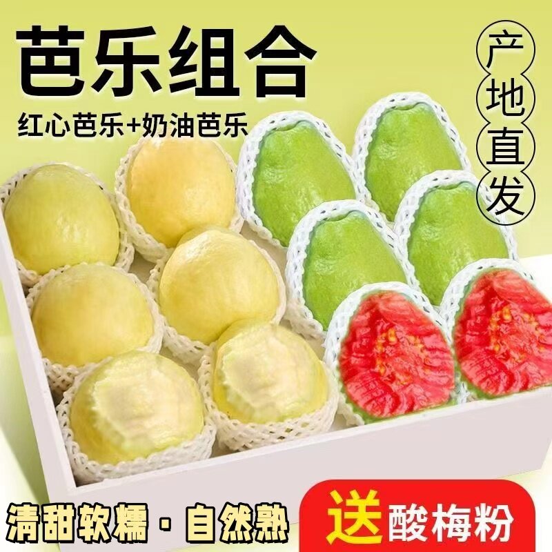 【宜昌助农馆】 芭乐组合 白心奶油芭乐+红心芭乐软糯香甜当季热带水果