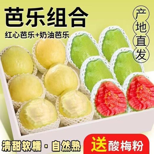 【宜昌助农馆】 芭乐组合 白心奶油芭乐+红心芭乐软糯香甜当季热带水果 商品图0