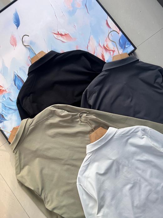 点此购买 迪桑特春秋季男士经典款长袖Polo衫 kad 341721 商品图13
