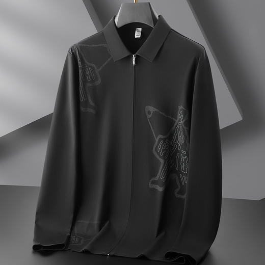 【DDP】大依优型大码男装春季拉链款长袖衬衫商务休闲免烫长袖翻领T恤 商品图2