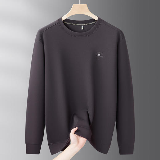 【DDS】大依优型大码男装圆领卫衣简约休闲长袖打底衫上衣加肥加大码 商品图4