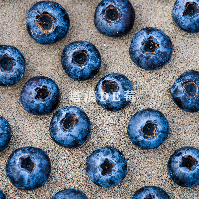 塔漠DE莓 . 新疆蓝莓 来自新疆塔克拉玛干沙漠 当季鲜果