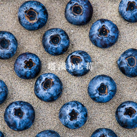 塔漠DE莓 . 新疆蓝莓 来自新疆塔克拉玛干沙漠 当季鲜果