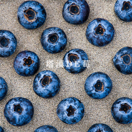 塔漠DE莓 . 新疆蓝莓 来自新疆塔克拉玛干沙漠 当季鲜果 商品图0