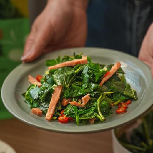 有机冻干桑芽菜 | 有机零农药 低卡高蛋白 多微量元素 FD宇航食品工艺 零下40℃急速冷冻 泡发后翠绿如鲜 商品图2