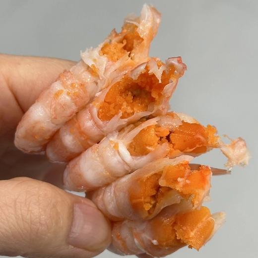 【顺丰冷链】渔礼记北极头籽甜虾2斤/盒 90-120规格 超高头籽率 100%纯野生 世界MSC认证 甜虾中的爱马仕 - AYLJ 商品图3