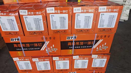 双子盾双基药一体钉 1000只/10盒/件 足数 货品代码23019 商品图0