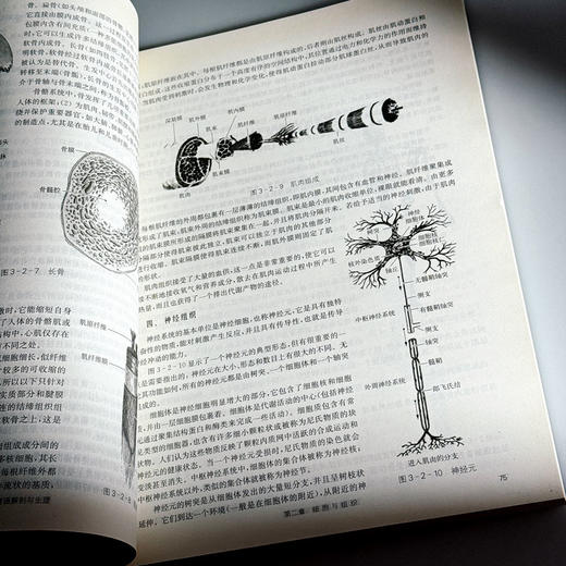 言语科学基础 言语科学发展历史与现状 声学基础知识 商品图12