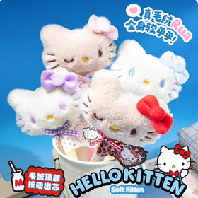 SSLJ-0861KT毛绒笔