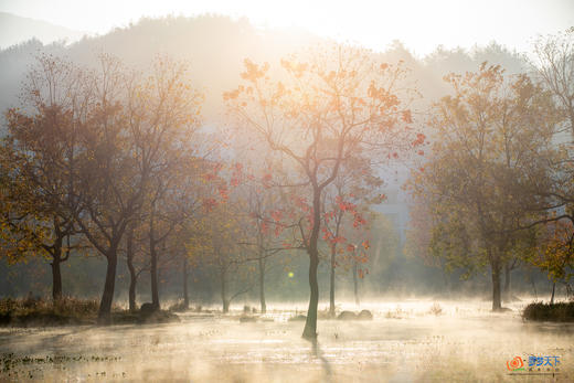 鄂赣秋境5/9天摄影团：大别山红叶 + 庐山秋韵 + 武汉夜景  + 鄱阳湖秘境 商品图10