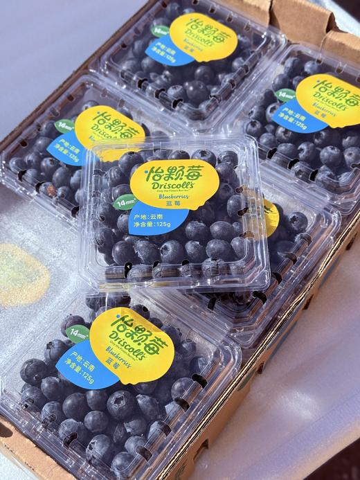 云南怡颗梅14+蓝莓 商品图5