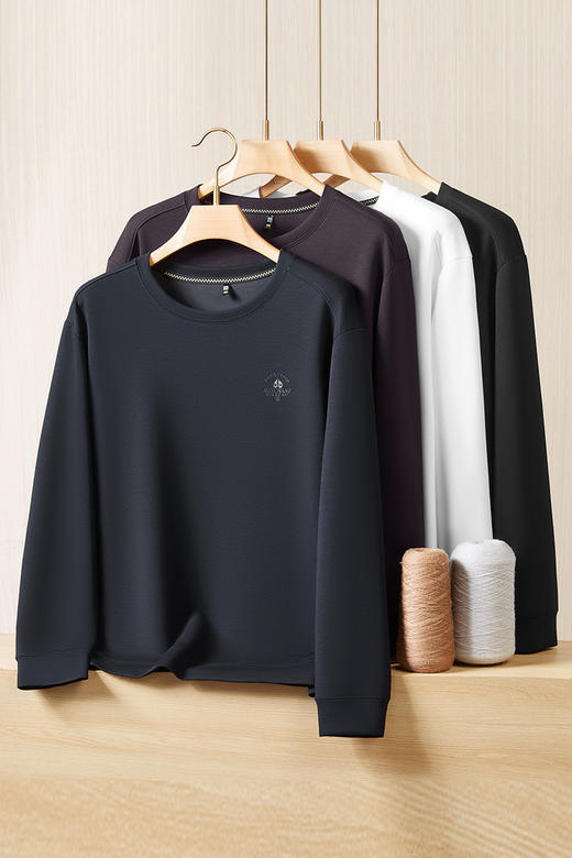 【DDS】大依优型大码男装圆领卫衣简约休闲长袖打底衫上衣加肥加大码 商品图5