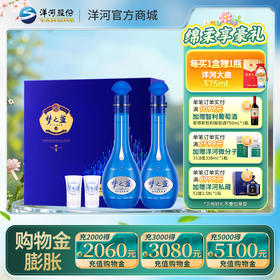 洋河 梦之蓝M6礼盒 45度500mL 双支装