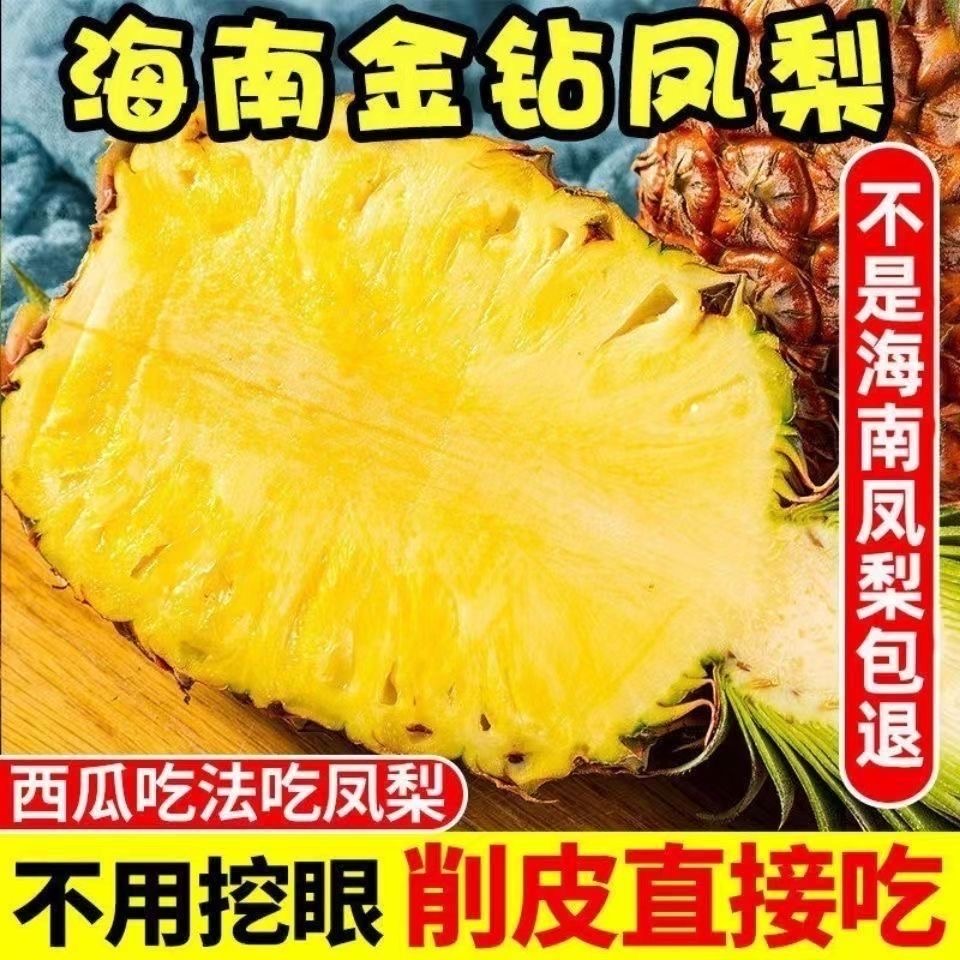 当季抢鲜吃❗️正宗海南金钻凤梨新鲜水果采摘