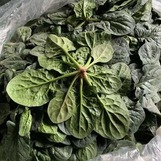 趴地菠菜(份）(200±20g) 商品图1