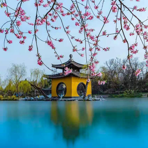 【小爱首发团】【2026清明假期】烟花三月下扬州丨瘦西湖赏花+扬州早茶+学艺非遗+南京半自助四日亲子游 商品图3