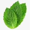薄荷叶（份）(120±20g) 商品缩略图1