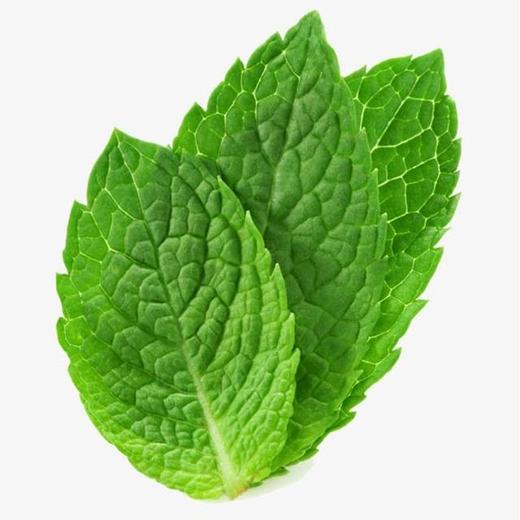 薄荷叶（份）(120±20g) 商品图1