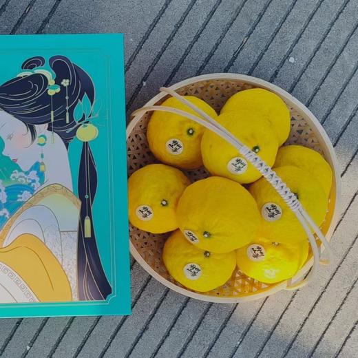 柠檬甜橙#“绿美人”皮薄多汁，香味浓郁，柑橘新品，风味独特且浓郁，新品尝鲜，顺丰直发 商品图2