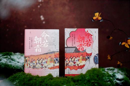 【限量定制珍藏本】命若朝霜:《红楼梦》里的法律、社会与女性[布面精装+书口喷绘+定制封分享面+局部烫印+珍藏编号页+签名题词钤印】限量1000册 商品图2