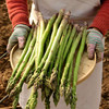 基地直发 | 生态芦笋 | 芦笋姐姐 商品缩略图5