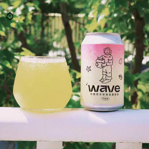 企鹅市集|纸飞机酿造 香格里拉苹果铁观音康普茶 / 杨桃芭乐康普茶 商品图8