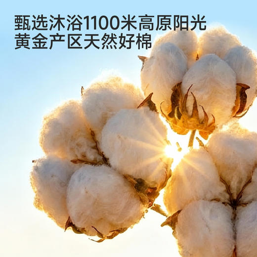 【商场同款】英氏儿童裤子女童夏季白色纯棉打底裤百搭休闲长裤 商品图1