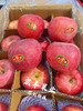 宏丰精选，陕西洛川苹果，口感脆甜，活动价6.8元一斤 商品缩略图1