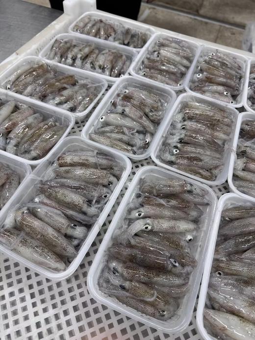 L''招牌一口管鱿鱼🦑口感爽脆，白灼和煲盐水最佳的 商品图1