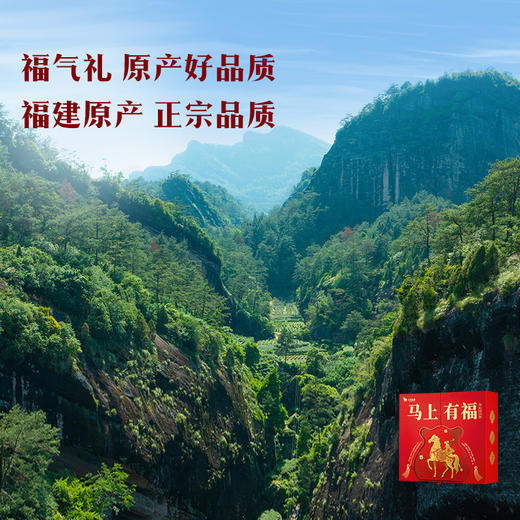 八马茶业｜马上有福组合茶礼盒248g-尊享版（清香铁观音112g，金骏眉72g，大红袍64g） 商品图2