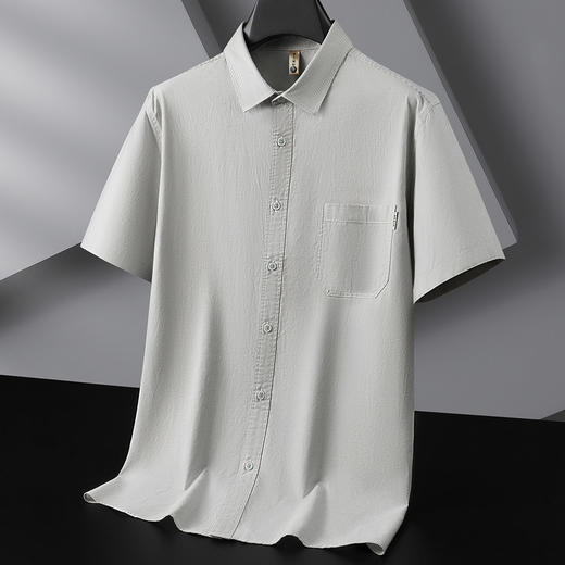 【DG】【纯棉】大依优型大码男装夏季细条纹短袖衬衫商务休闲百搭T恤300 商品图2