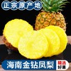 当季抢鲜吃❗️正宗海南金钻凤梨新鲜水果采摘 商品缩略图2