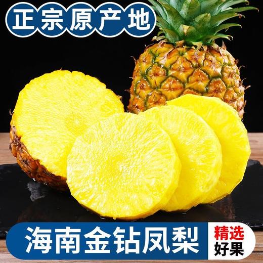 当季抢鲜吃❗️正宗海南金钻凤梨新鲜水果采摘 商品图2