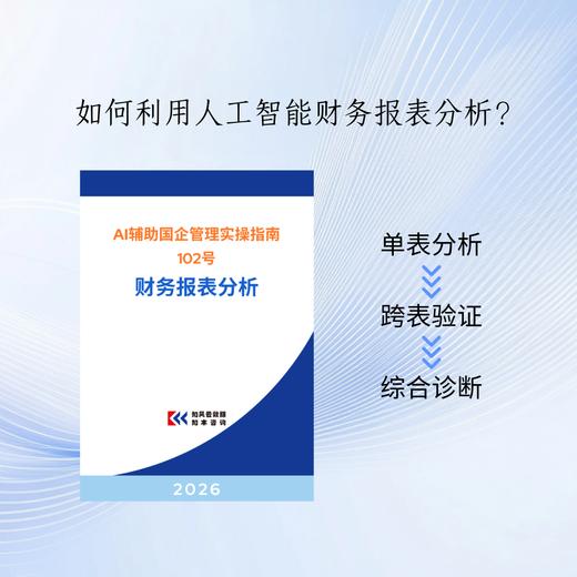 《AI辅助国企管理实操指南102号——财务报表分析》加密电子版 商品图0