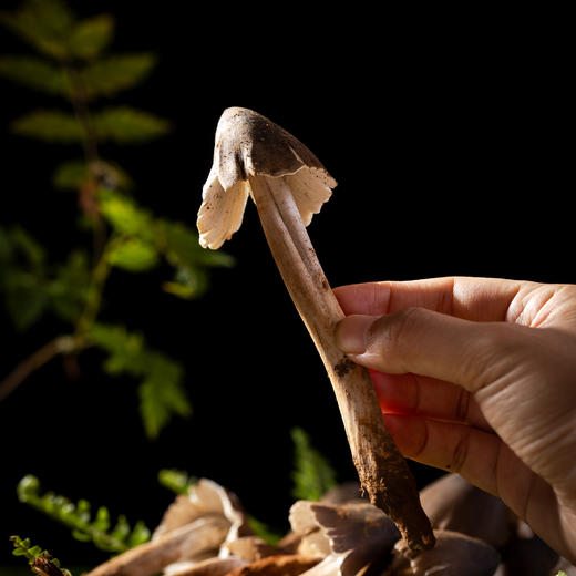 和菜头 一口鲜油鸡枞 纯粹版 500g/罐 商品图4