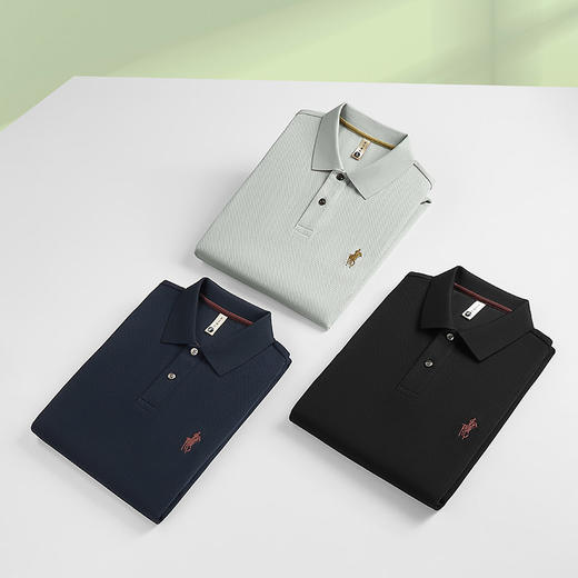 【DG】【新疆棉】大依优型大码男装短袖polo衫男士休闲宽松短恤上衣300 商品图2