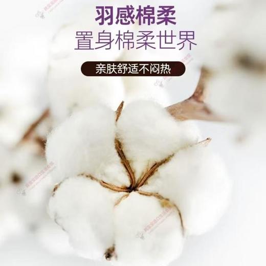 乐而雅F透气棉柔超丝薄特长25cm 日用卫生巾 17片/包 商品图3