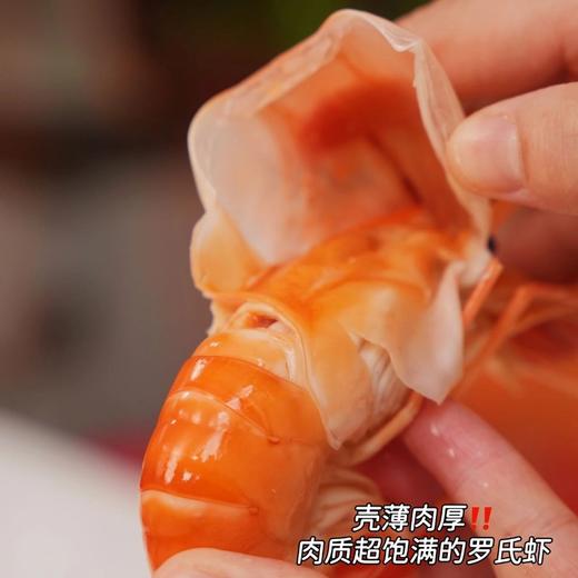 【顺丰冷链】渔礼记 泰国熟冻罗氏虾750g（13-14个装）肉质紧实Q弹 满足你挑剔的味蕾 丰富蛋白质 营养价值高 -AYLJ 商品图3