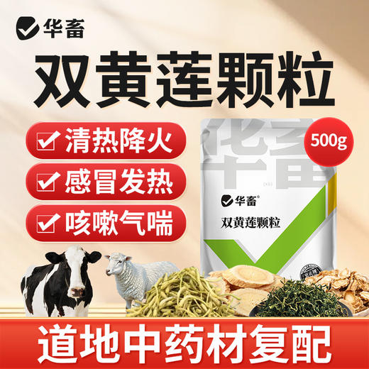 华畜 双黄莲颗粒 清热降火感冒发热咳嗽气喘 商品图1
