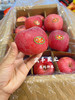 宏丰精选，陕西洛川苹果，口感脆甜，活动价6.8元一斤 商品缩略图3