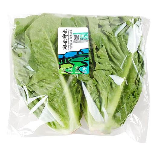 那云那南有机意大利生菜苗 250g/份 商品图0