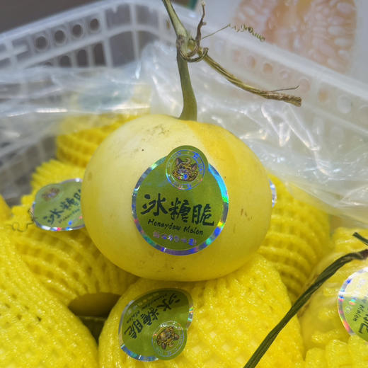 冰糖脆甜瓜（一个约260克） 商品图1