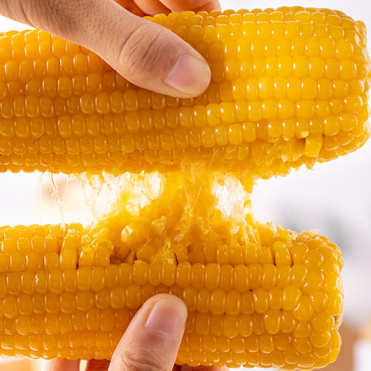 【自然生长香甜软糯】蒙粮 有机玉米 有机紫甜糯玉米1.7kg/白甜糯玉米1.8kg/黄甜糯玉米1.8kg  皮薄肉嫩够新鲜 商品图13